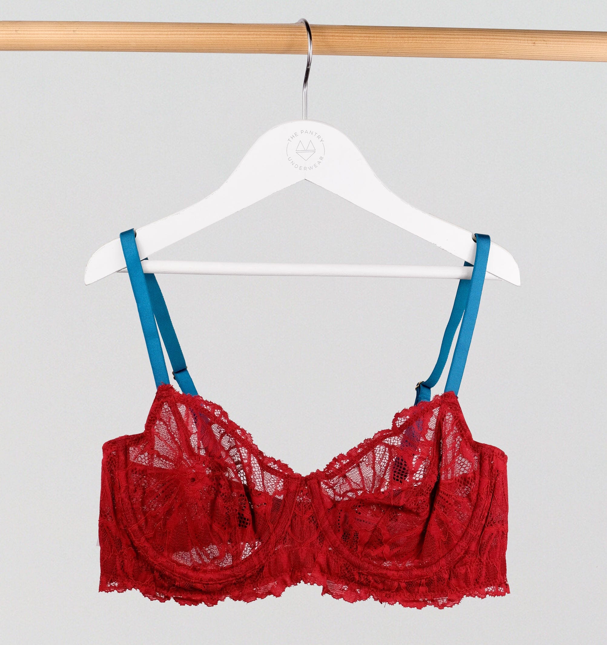 D+ Lace Plunge [Vintage Rose] – The Pantry Underwear