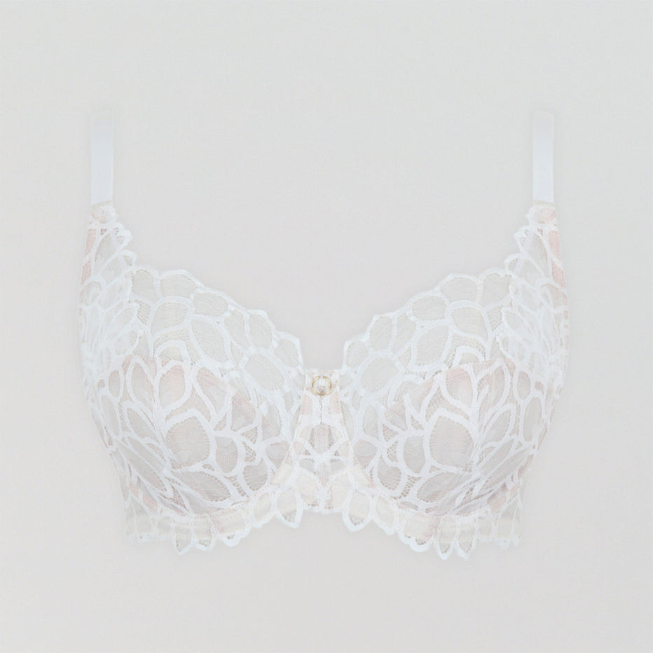 Abstract petal lace full cup [Ivory] – The Pantry Underwear