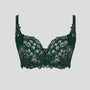 Abstract petal lace full cup bra [Forest green] Bras Panache 