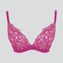 Abstract petal lace high apex plunge bra [Magenta]