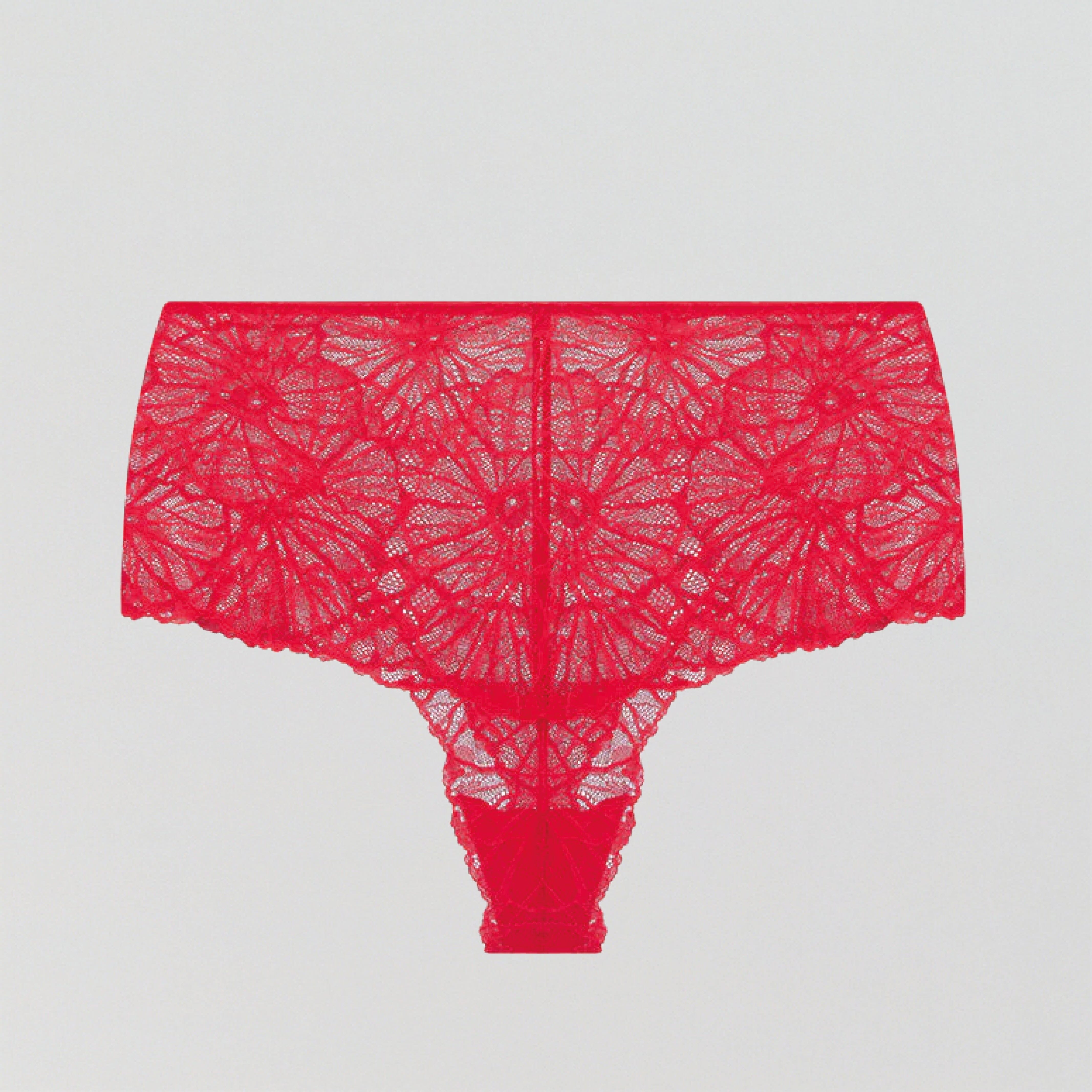 Scarlet lace high waist tanga – The Pantry Underwear