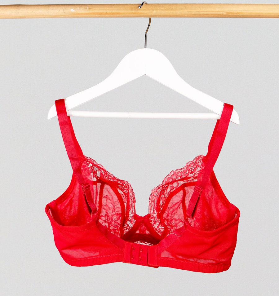 Buy Red Floral Lace Padded Bra 36E, Bras