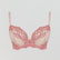 D+ Lace Plunge [Candy/Coral] Bras Panache 32D 