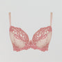 D+ Lace Plunge [Candy/Coral] Bras Panache 32D 