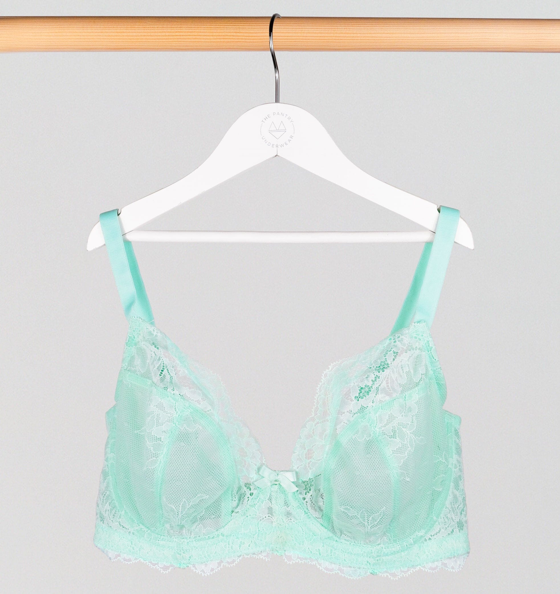 D+ lace plunge [Mint] Bras Panache 