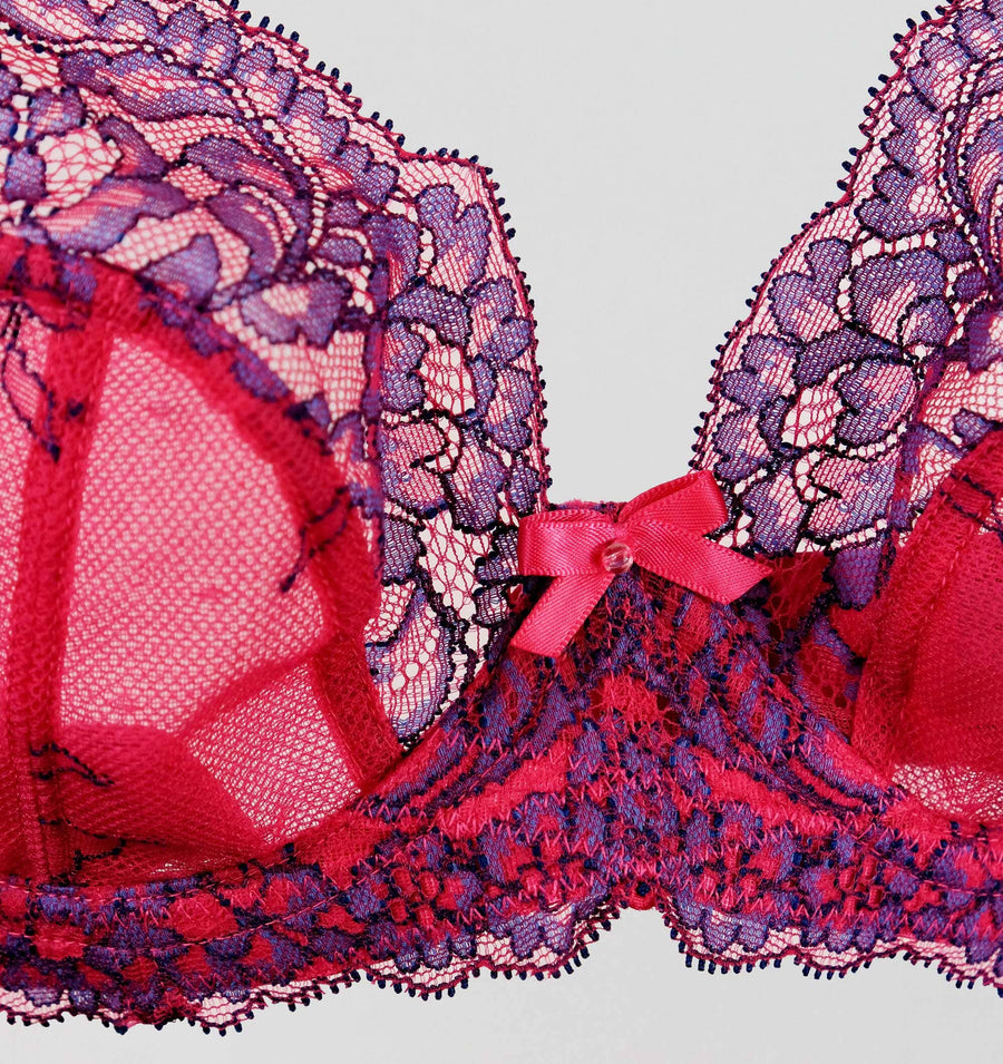 D+ lace plunge [Fuchsia/Indigo] Bras Panache 