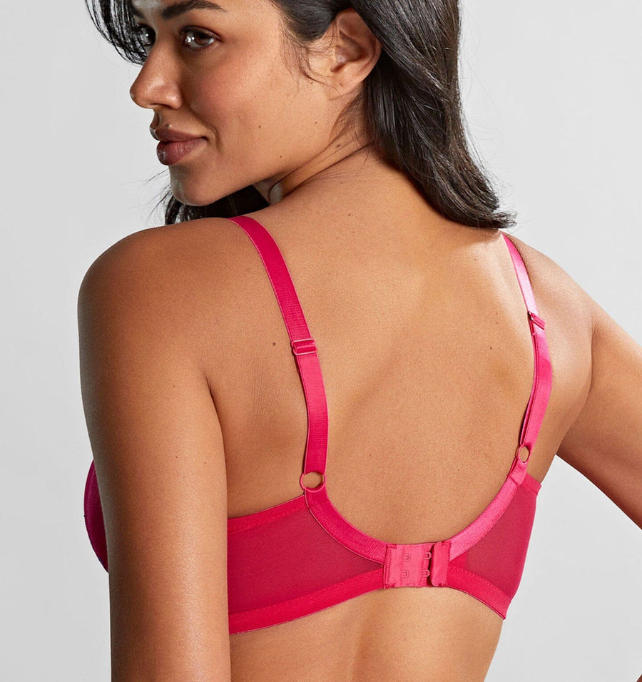 D+ lace plunge [Fuchsia/Indigo] Bras Panache 