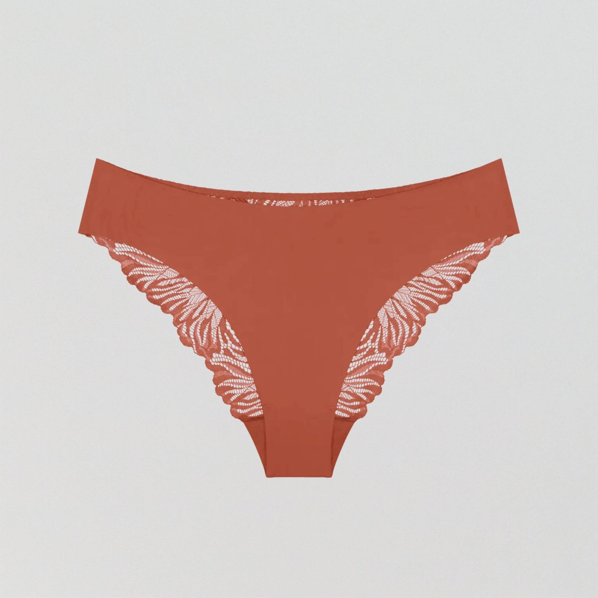 Everyday microfibre & lace knicker [Terracotta] Bottoms Triumph 