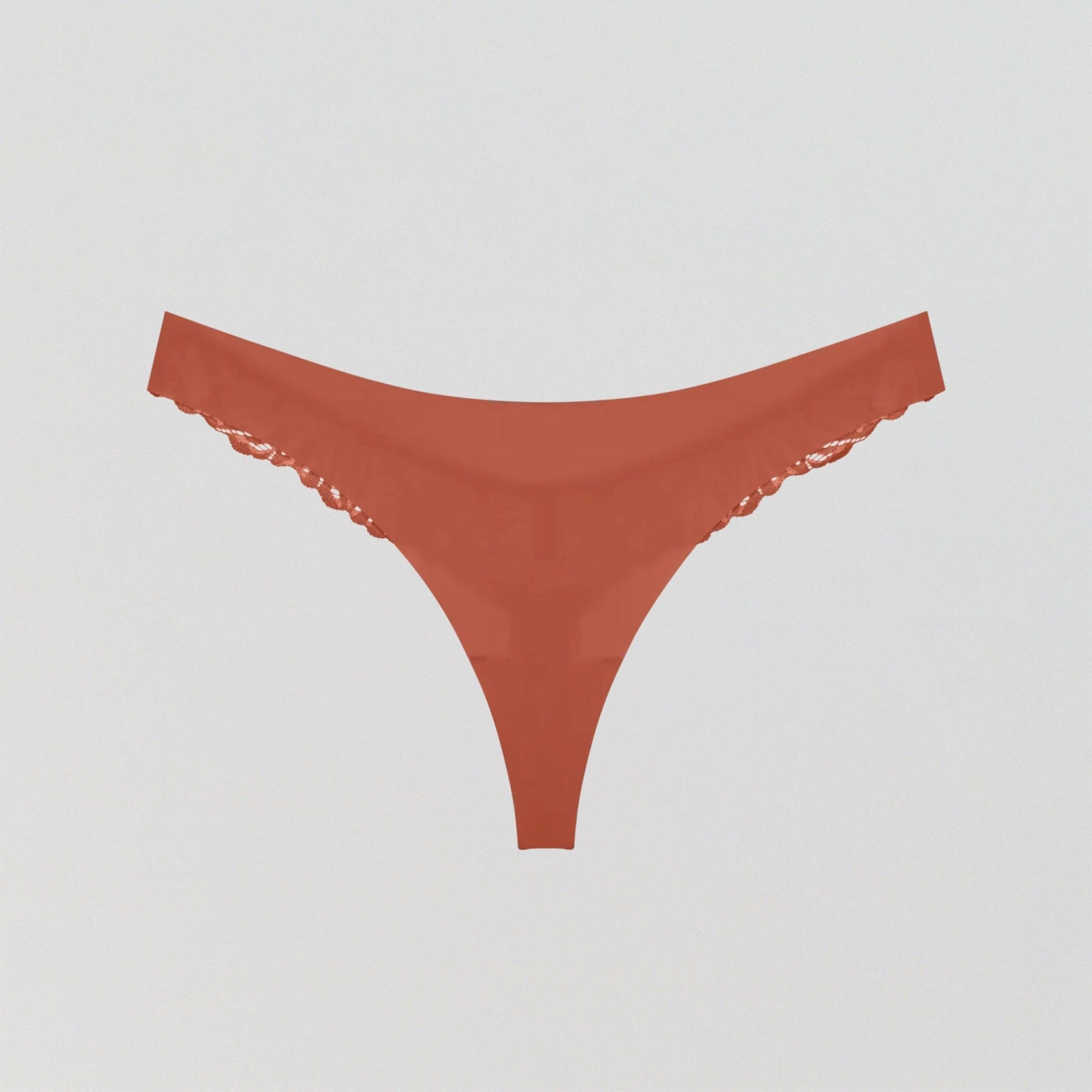 Everyday microfibre & lace thong [ Terracotta] Bottoms Triumph XS (8) 