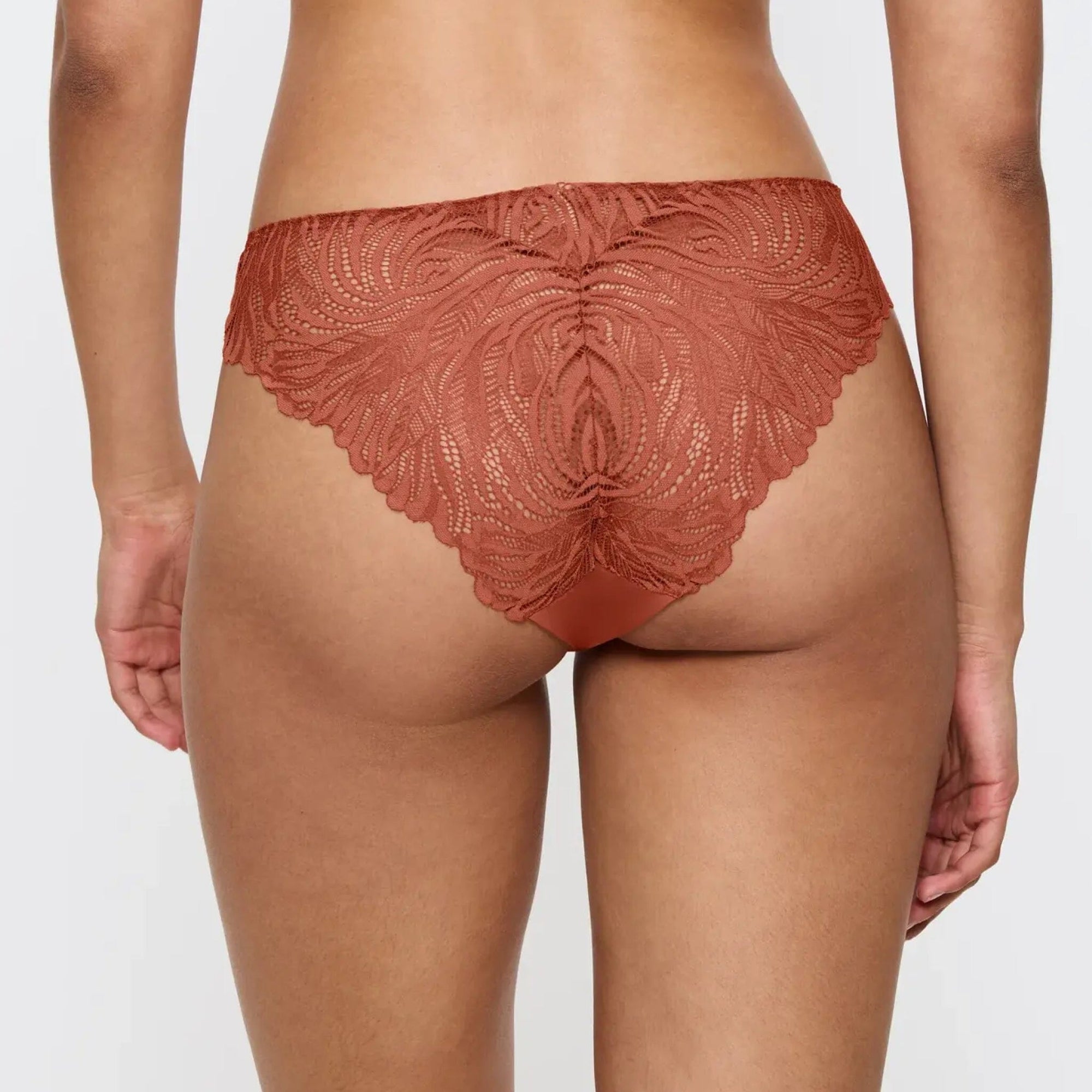 Everyday microfibre & lace knicker [Terracotta] Bottoms Triumph 