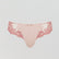 Lace back brief [Candy/Coral] Bottoms Panache 8 