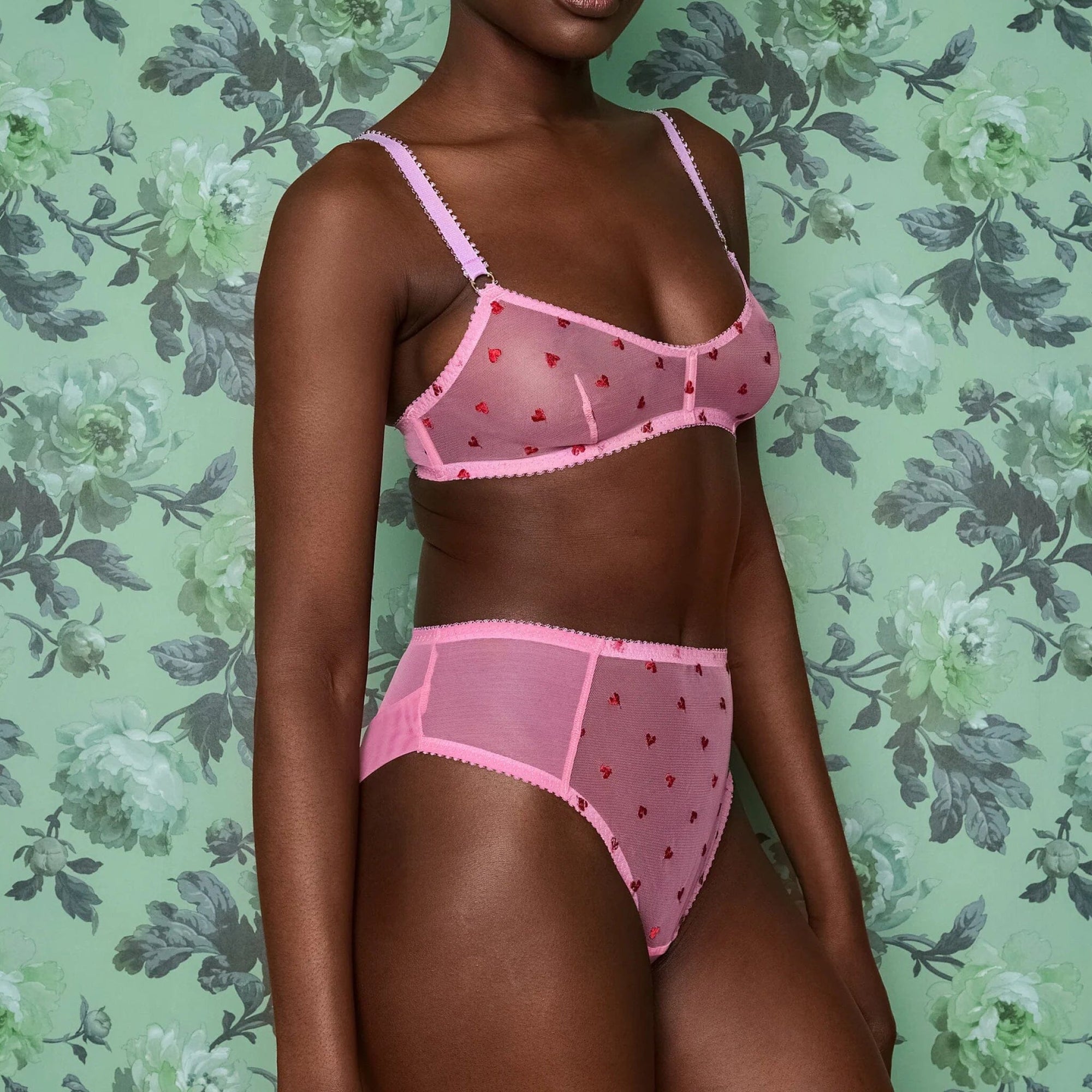 Scarlet heart &amp; pink mesh high waist knicker Bottoms Dora Larsen 