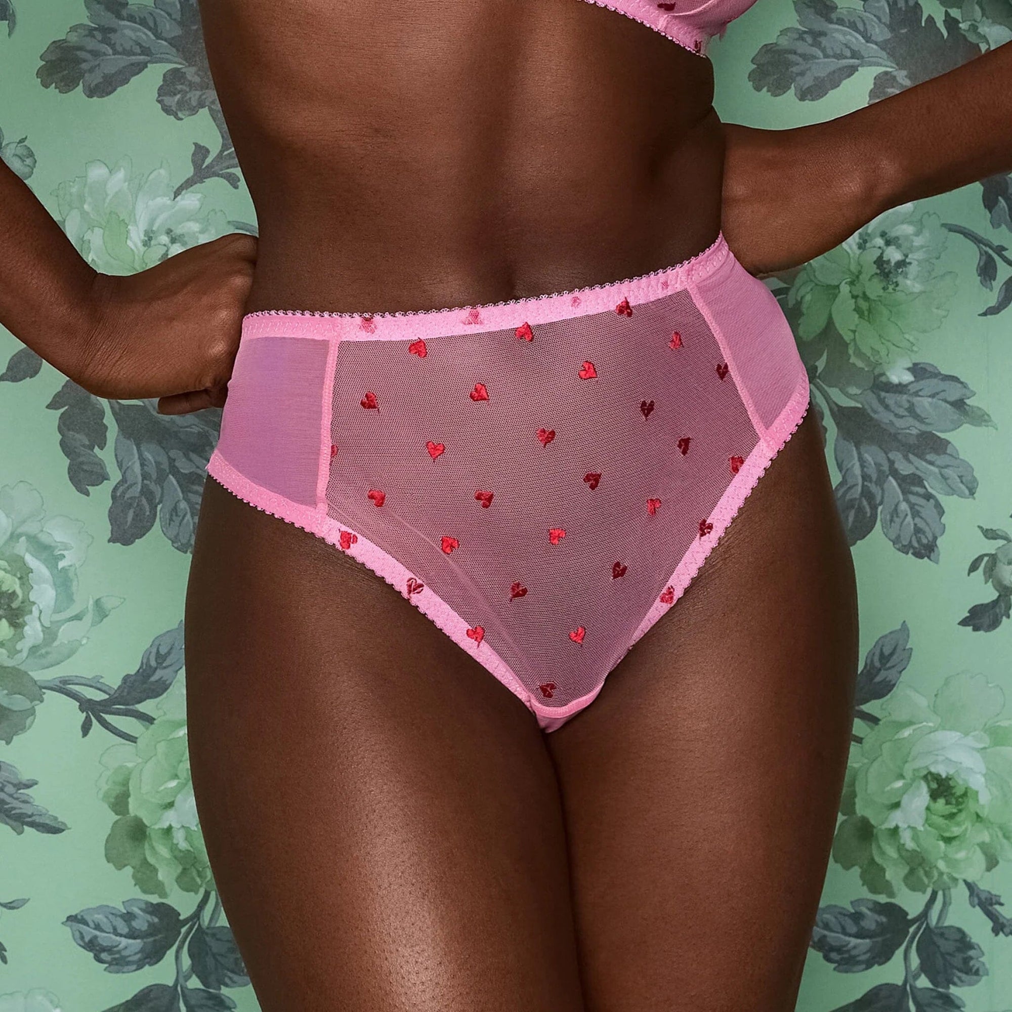 Scarlet heart &amp; pink mesh high waist knicker Bottoms Dora Larsen 