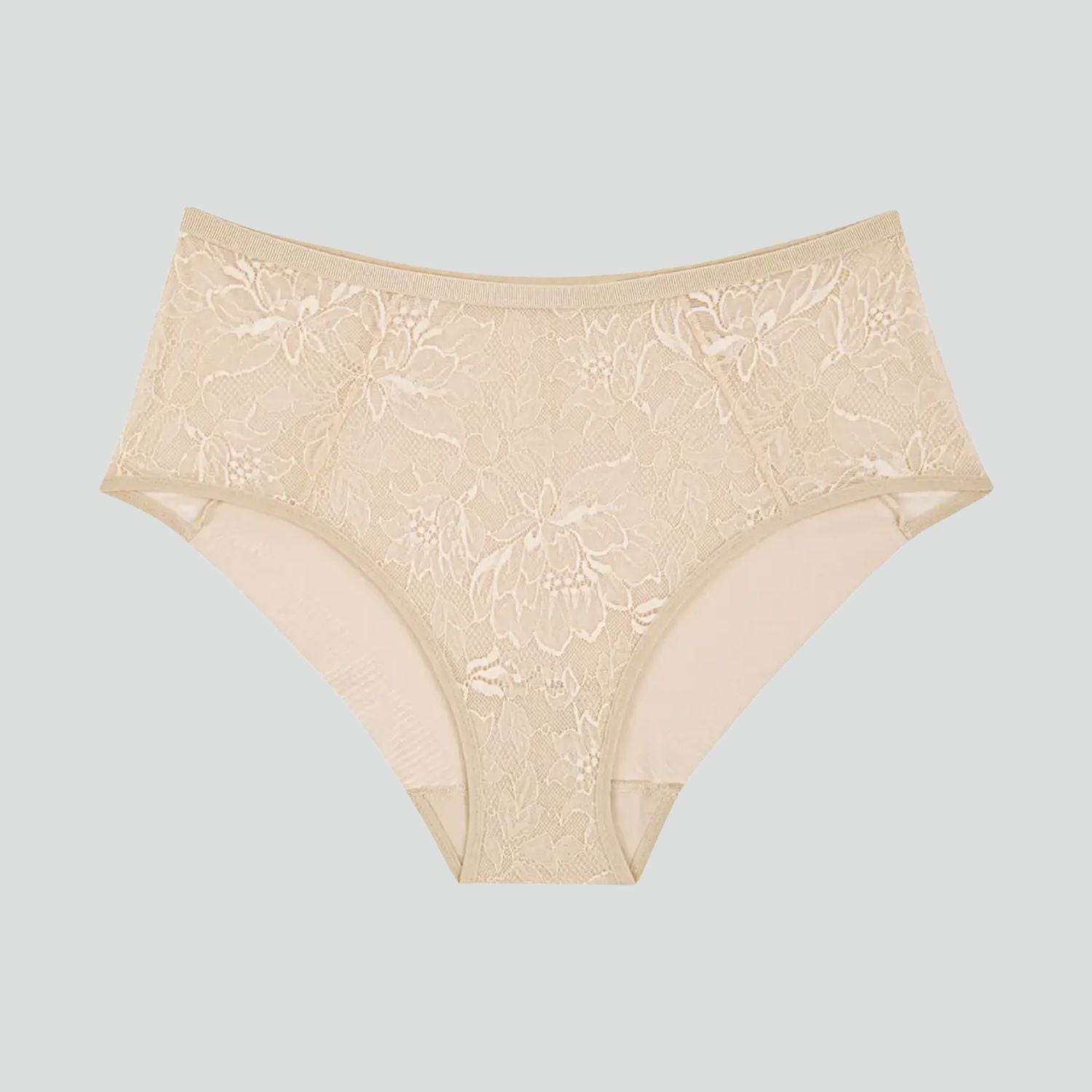 Stretch lace high waist knicker [Ivory] Bottoms Triumph 