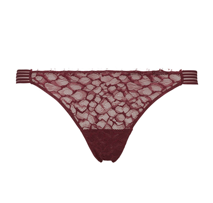 Lace thong [Wine] Bottoms Calvin Klein extra-small 