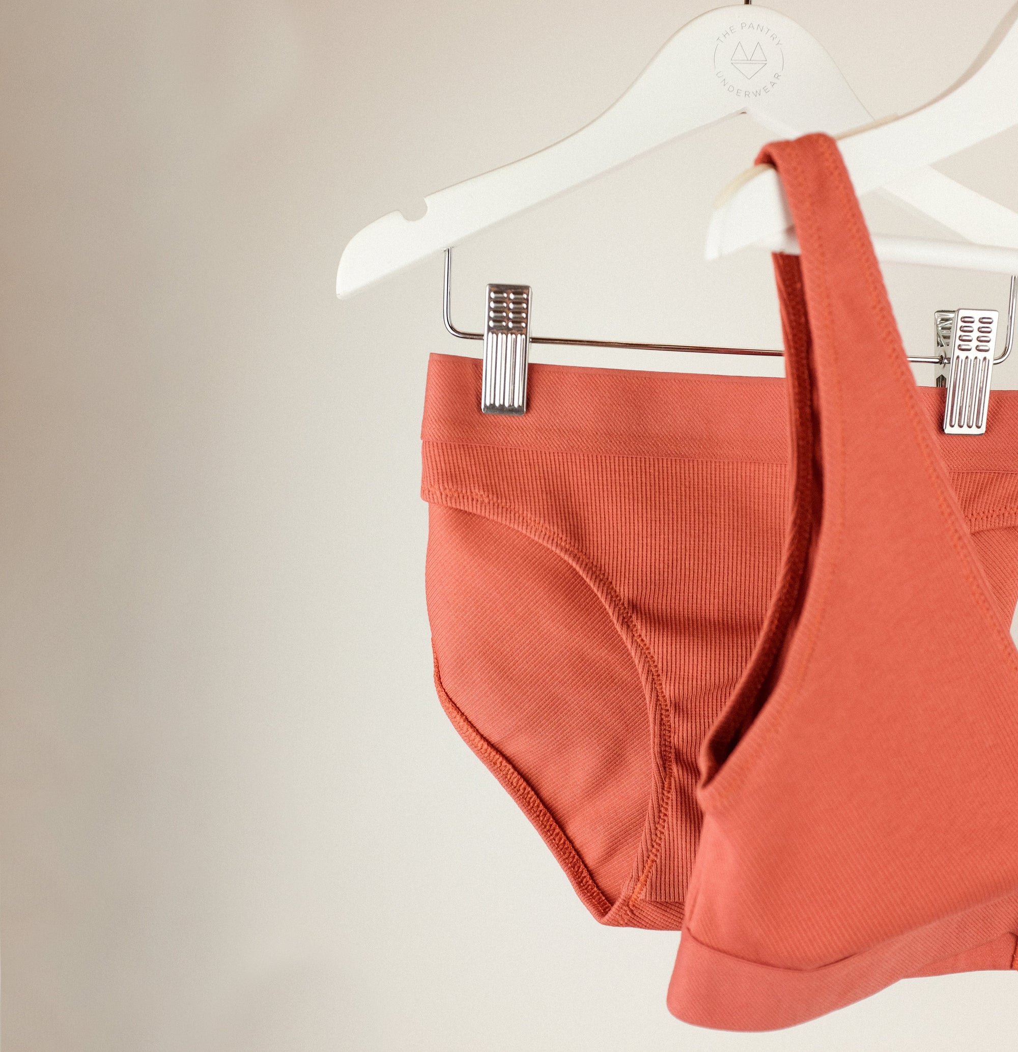 Cotton rib bikini brief [Terracotta} Maternity Six 