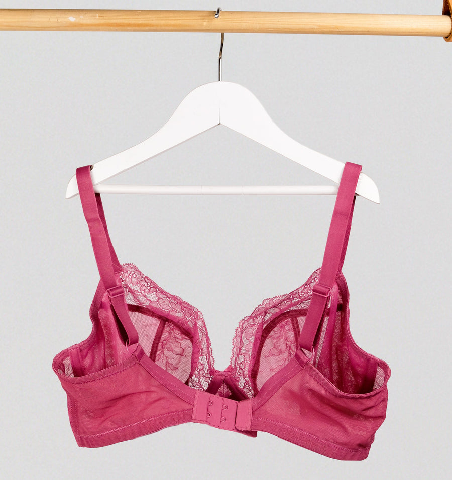 D+ Lace Plunge [Vintage Rose] – The Pantry Underwear