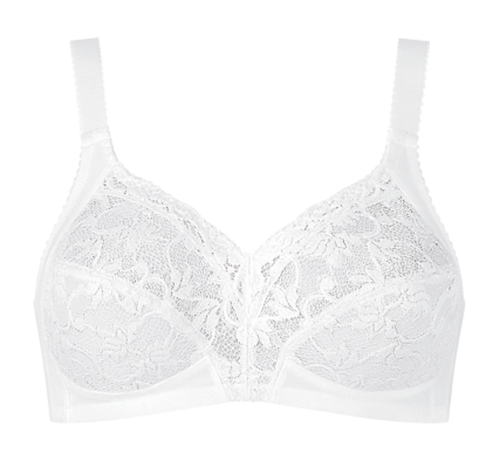 Doreen Delicate [White] Bras Triumph 34B 